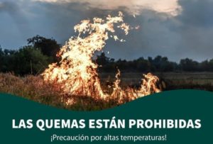 Prohibición de quemas en Posadas: alternativas y recomendaciones para una correcta disposición de residuos imagen-1