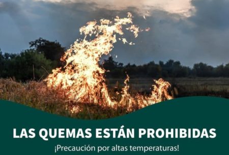 Prohibición de quemas en Posadas: alternativas y recomendaciones para una correcta disposición de residuos imagen-12