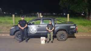 Capturaron una Yarará que apareció en una calle de Posadas imagen-1