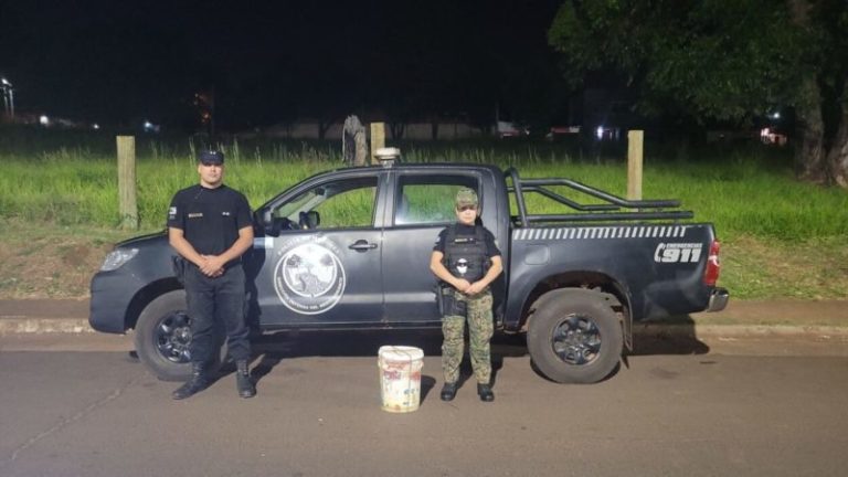 Capturaron una Yarará que apareció en una calle de Posadas imagen-5