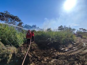 Emergencia ígnea: incendios de basura y maleza lideran las intervenciones de Bomberos en la provincia imagen-1