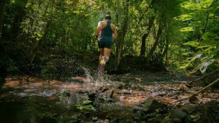 Misiones Trail de la Selva: deporte, naturaleza y cultura en una experiencia única imagen-4