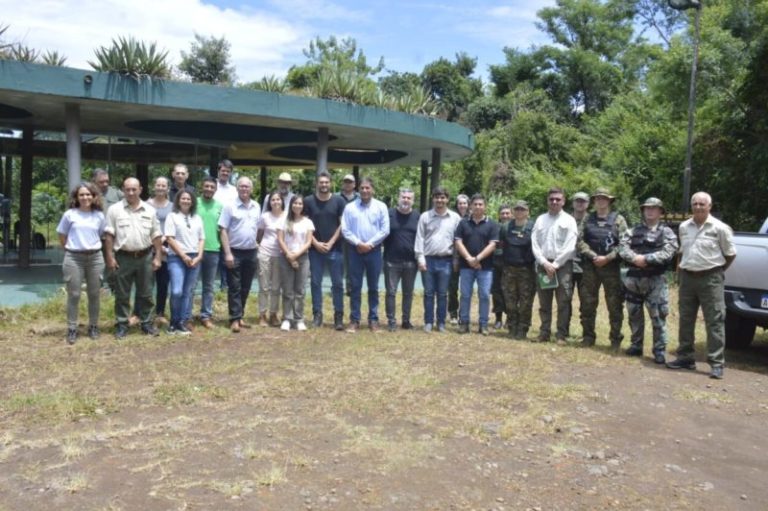 Salto Encantado recibió al Comité de Crisis: plena coincidencia y buena voluntad para enfrentar en conjunto el problema de la tala ilegal imagen-4