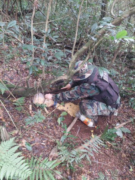 Protección de la biodiversidad: Policías ambientales desarmaron campamentos ilegales de caza imagen-12