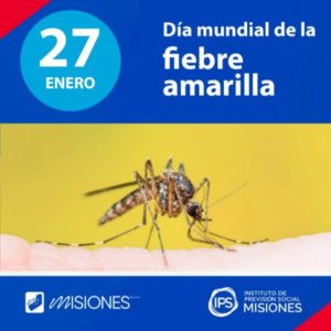 📒27 de enero: Día Mundial de la Fiebre Amarilla imagen-4