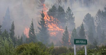 El gobernador de Chubut acusó a los mapuches por los incendios y Patricia Bullrich denunció un atentado terrorista imagen-10