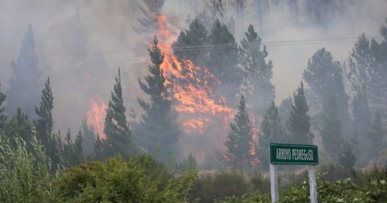 El gobernador de Chubut acusó a los mapuches por los incendios y Patricia Bullrich denunció un atentado terrorista imagen-4