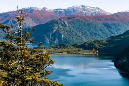 Las piscinas naturales ideales para el verano: están escondidas en el Parque Nacional Los Alerces imagen-12