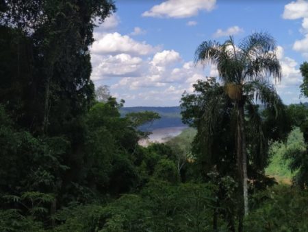 Misiones es el primer estado subnacional del mundo en certificar créditos de carbono imagen-14