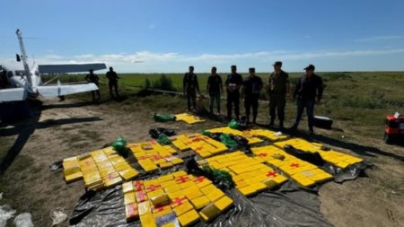 Avioneta se quedó sin combustible y aterrizó de emergencia en un campo: trasladaba 359 kilos de cocaína imagen-13