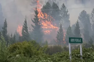 El incendio en Epuyén consumió 2.000 hectáreas y se evacuaron 200 viviendas imagen-2