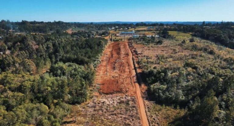 Energía de Misiones trabaja en el despeje de mas de160 km de líneas troncales imagen-3