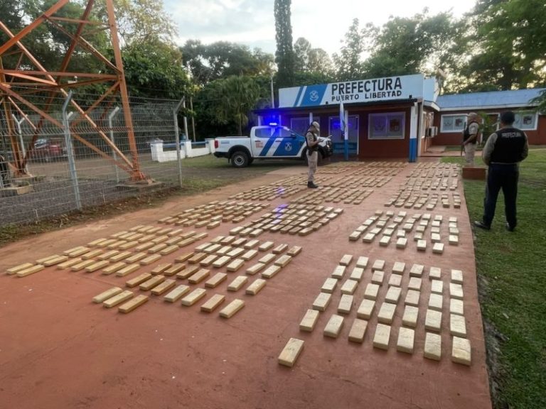 Secuestran en Puerto Libertad más de 600 kilos de marihuana valuados en una suma millonaria imagen-4