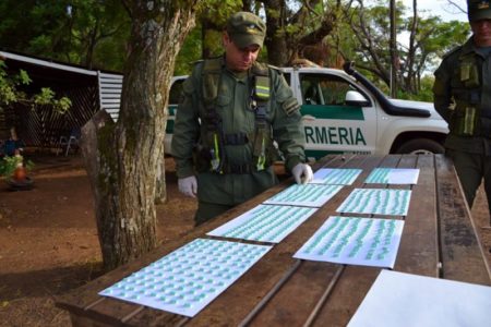 Llevaba 600 pastillas de éxtasis desde Posadas a Buenos Aires, quedó detenido imagen-13