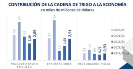 Más dólares del campo: el trigo aportará USD 6726 millones en 2025 imagen-16