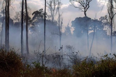 Advierten que pesar de la precipitaciones Misiones continúa en emergencia ígnea imagen-10