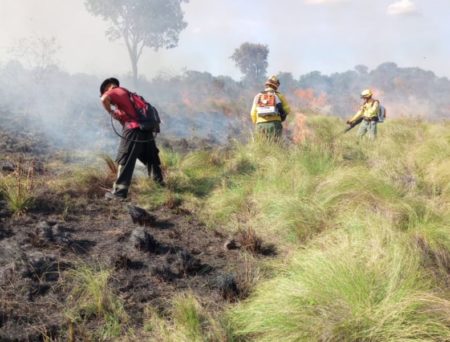 Bomberos trabajaron diez horas para controlar un incendio que arrasó 120 hectáreas en Santa Ana imagen-13