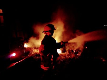 Sigue el alerta por alto riesgo de incendios en Misiones imagen-9