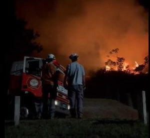 Controlan incendio de pastizales en planta de empresa forestal de Puerto Piray imagen-1