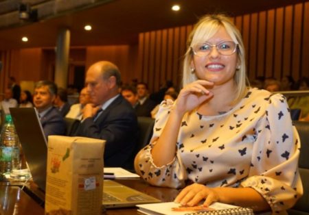 La Comisión Permanente de la Legislatura misionera aceptó la renuncia de Karen Fiege imagen-9