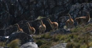 Este es el parque natural más grande de Buenos Aires a solo dos horas del mar: dónde queda y qué actividades se pueden hacer imagen-1