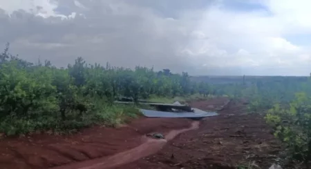 Tormenta localizada causa daños significativos en chacra de un productor imagen-8