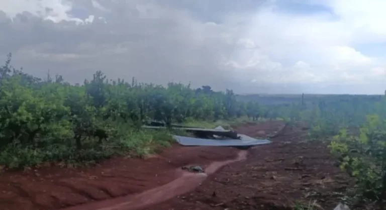 Tormenta localizada causa daños significativos en chacra de un productor imagen-4