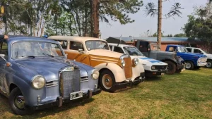 San Pedro recibirá más de 180 vehículos en el Encuentro de Autos Antiguos y Especiales imagen-1