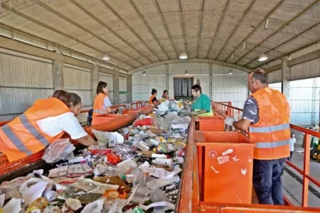 Se procesaron más de 1.000 toneladas de residuos en el Centro Verde durante 2024 imagen-10