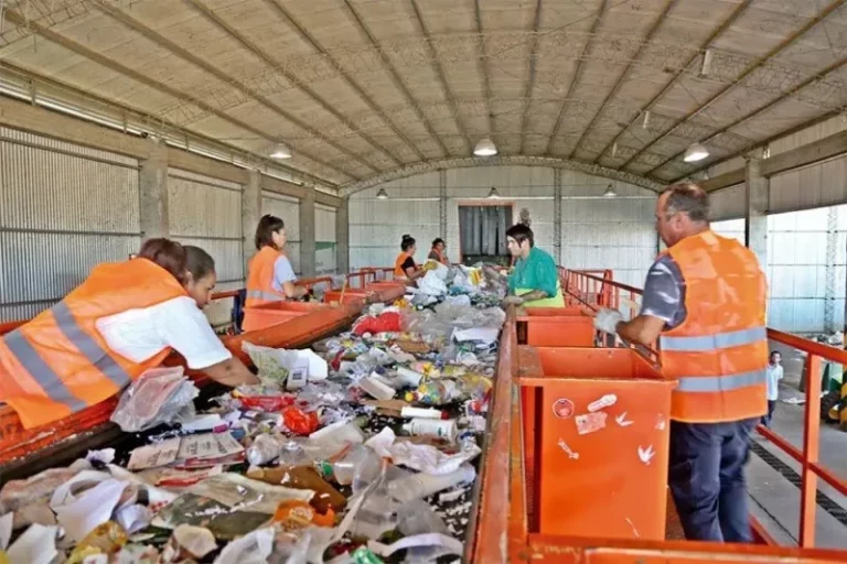 Se procesaron más de 1.000 toneladas de residuos en el Centro Verde durante 2024 imagen-5