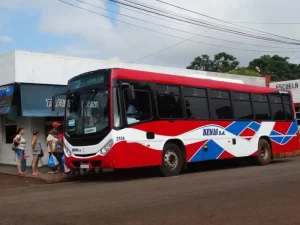 Desde el lunes habrá transporte de pasajeros nuevamente en Puerto Piray imagen-1