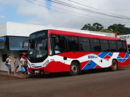 Desde el lunes habrá transporte de pasajeros nuevamente en Puerto Piray imagen-14