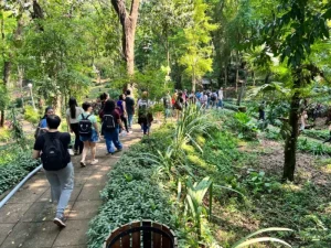 Destacan la llegada de turistas desde todo el país a Oberá imagen-3