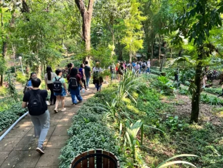 Destacan la llegada de turistas desde todo el país a Oberá imagen-26