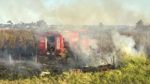 Incendios en Misiones: se registraron al menos 11 intervenciones durante el fin de semana imagen-1