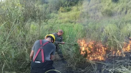 En los primeros 15 días del año, se registraron 8 incendios de pastizales en Puerto Iguazú imagen-24