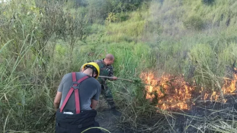 En los primeros 15 días del año, se registraron 8 incendios de pastizales en Puerto Iguazú imagen-5