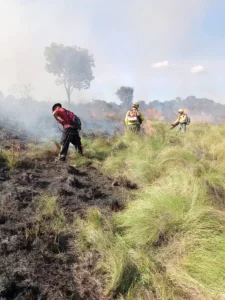 Misiones sigue en emergencia ígnea y piden no hacer quemas imagen-1