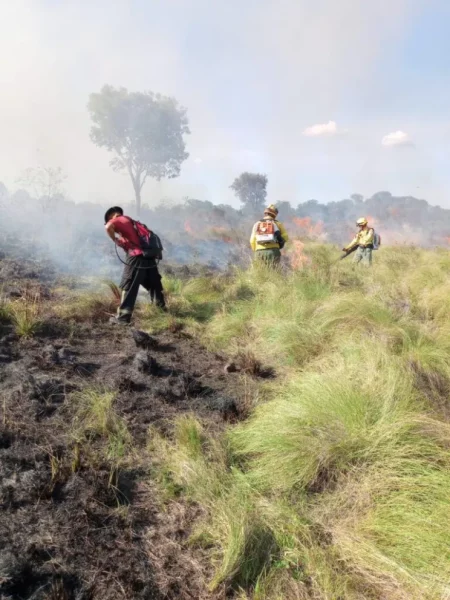 Misiones sigue en emergencia ígnea y piden no hacer quemas imagen-14