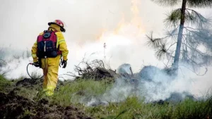 El índice de peligro de incendios en Iguazú y Posadas se mantiene muy alto imagen-4