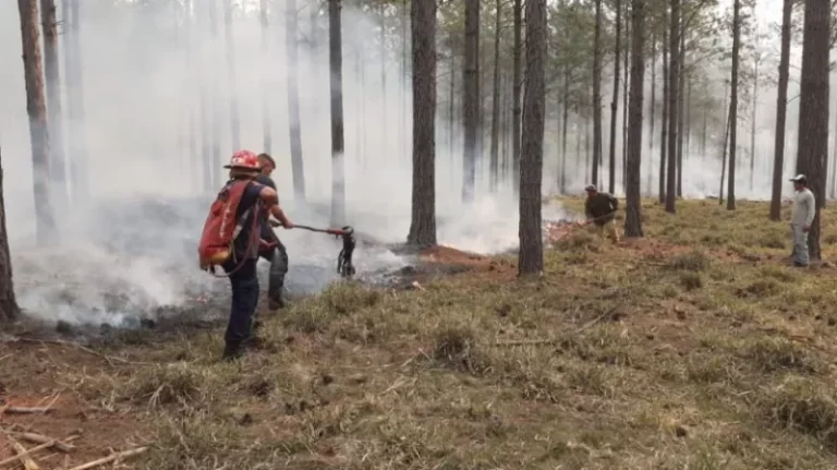 Misiones en alerta: trece departamentos bajo riesgo de incendios imagen-4