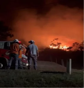 Sofocan incendio incendio de pastizales se desató en las cercanías del aserradero de Arauco, ubicado en Puerto Piray. imagen-3