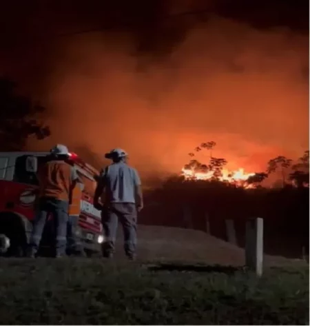 Sofocan incendio incendio de pastizales se desató en las cercanías del aserradero de Arauco, ubicado en Puerto Piray. imagen-23