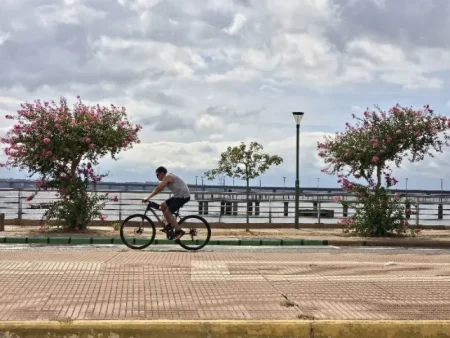 Chaparrones y calor: Misiones en modo sauna imagen-11