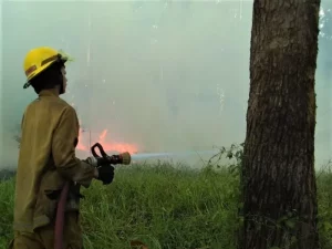 Máxima alerta por incendios en Misiones: 12 municipios en riesgo extremo imagen-4