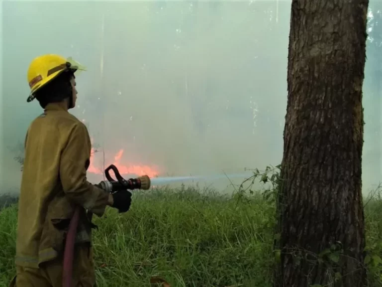 Máxima alerta por incendios en Misiones: 12 municipios en riesgo extremo imagen-5