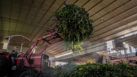 Passalacqua anunció prórroga de líneas de crédito productivas imagen-14