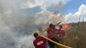 Se quemaron 96 hectáreas de maleza y pino en el barrio Cruz del Sur imagen-1