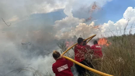 Se quemaron 96 hectáreas de maleza y pino en el barrio Cruz del Sur imagen-20