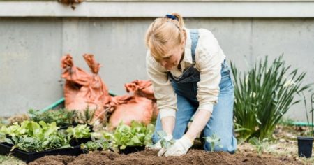 Cómo cultivar melón en verano: trucos para una cosecha dulce y jugosa imagen-10